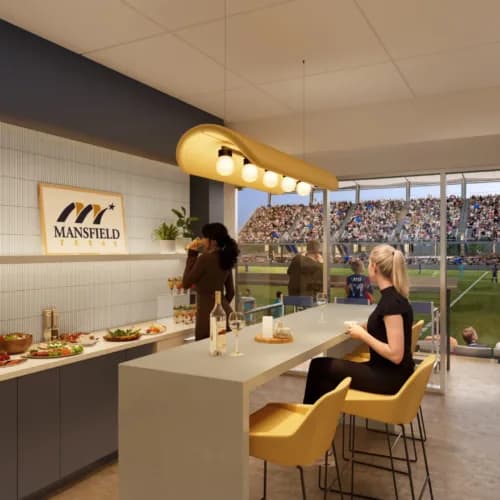 Private suite overlooking the pitch
